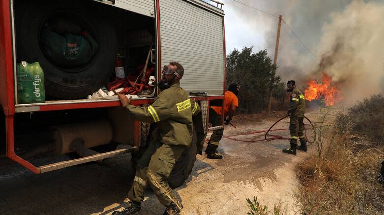 Φωτιά στην περιοχή Άγναντα της Ηλείας: Καίει δύσβατη περιοχή