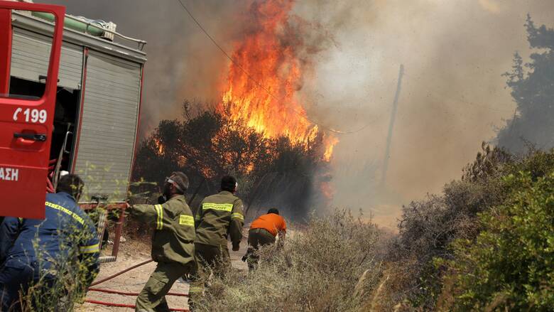 Κιλκίς: Πυρκαγιά σε δύσβατη περιοχή του Δήμου Παιονίας
