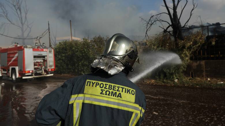 Κιλκίς: Ενισχύθηκαν οι δυνάμεις για την πυρκαγιά στο δήμο Παιονίας
