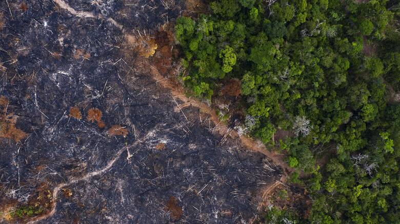 Βραζιλία: Μειώθηκαν οι πυρκαγιές στον Αμαζόνιο - Κίνδυνος ακραίου καύσωνα το 2100 λόγω αποψίλωσης