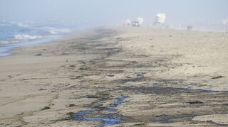 Καλιφόρνια: Η πετρελαιοκηλίδα που δημιουργήθηκε έχει προκαλέσει μεγάλη περιβαλλοντική καταστροφή
