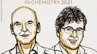 Στην ανάπτυξη της «ασύμμετρης οργανοκατάλυσης» το Νόμπελ Χημείας 2021