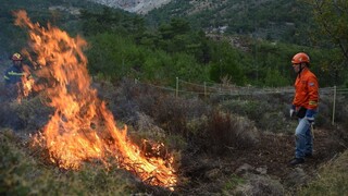 Δασικές Πυρκαγιές: Πρόγραμμα προδιαγεγραμμένης καύσης από WWF Ελλάς και ΙΜΔΟ, με τη στήριξη της P&G