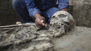 Αρκετοί ενήλικες ήταν θαμμένοι στον σημαντικό Τάφο του Κυπέλλου του Νέστορα