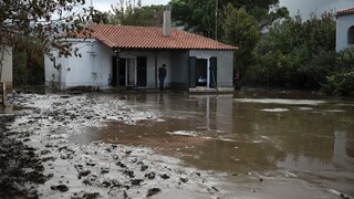 Πλημμύρες Εύβοια - Λέκκας: Δεν έγιναν οι σωστές παρεμβάσεις στα καμένα