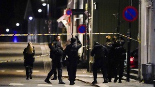 Νορβηγία: Πέντε οι νεκροί από την επίθεση με τόξο και βέλη - Δανός πολίτης ο δράστης