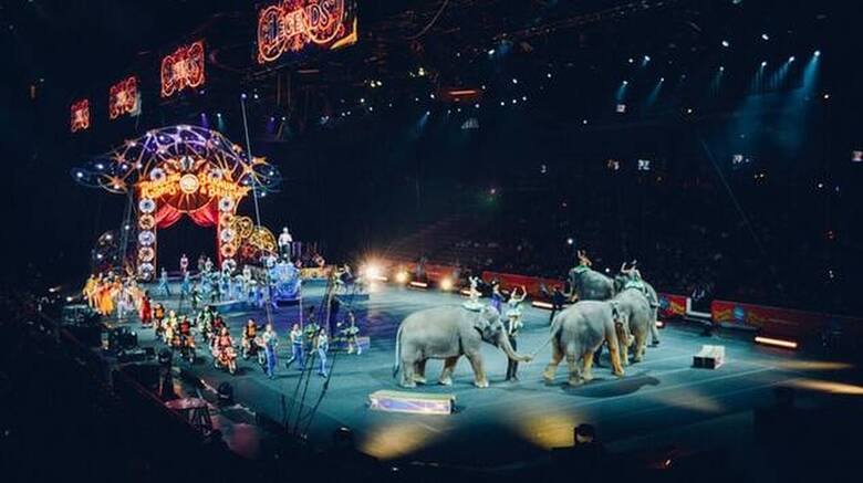 Ρωσία: Αρκούδα επιτέθηκε σε έγκυο θηριοδαμαστή σε τσίρκο