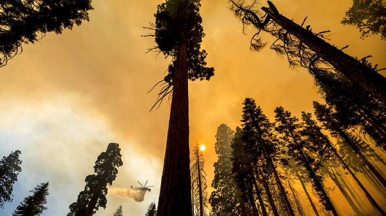 COP26 - Έρευνα: Η υπερθέρμανση του πλανήτη κύριος ένοχος για τις δασικές πυρκαγιές στις ΗΠΑ