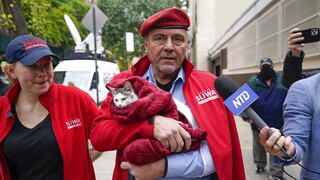 Νέα Υόρκη: Γάτα έκλεψε τις εντυπώσεις στις εκλογές για τον νέο δήμαρχο της πόλης