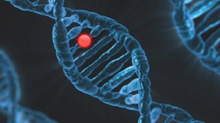 Γονίδιο ίσως διπλασιάζει τον κίνδυνο θανάτου από κορωνοϊό - Ελπίδες για νέα φάρμακα