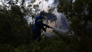 Φωτιά σε δασική έκταση στην Εύβοια - «Άρπαξε» από φλεγόμενο όχημα