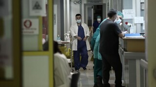 Καπραβέλος: Πεθαίνουν διασωληνωμένοι εκτός ΜΕΘ - Να εφημερεύουν και ιδιωτικά νοσοκομεία