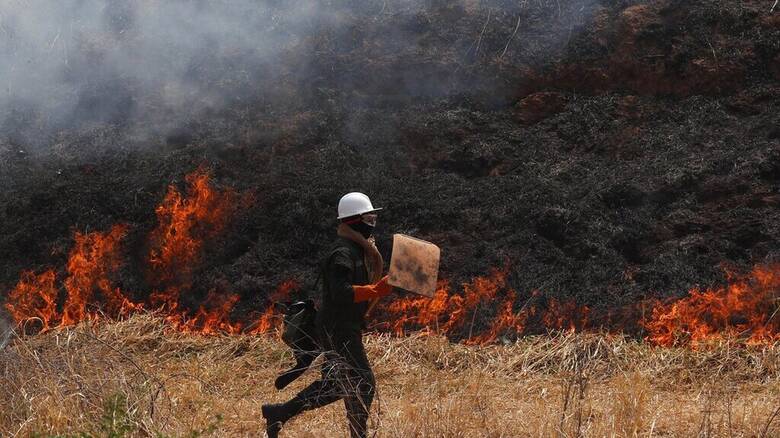 Βολιβία: Πυρκαγιές απανθράκωσαν 36 εκατομμύρια στρέμματα δάσους σε έναν χρόνο
