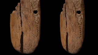 Σημαντική ανακάλυψη: Βρέθηκε το αρχαιότερο «κόσμημα» στην Ευρώπη από την εποχή των μαμούθ