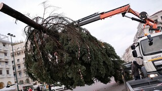 Θεσσαλονίκη: Μηνυτήρια αναφορά για δολιοφθορά στο χριστουγεννιάτικο δέντρο της Αριστοτέλους