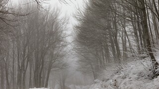 Κακοκαιρία «Κάρμελ»: Χιονίζει στο Πήλιο - Ανοιχτοί παραμένουν οι δρόμοι