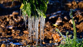 Με παγετό ξύπνησαν στα ορεινά Μακεδονίας: Οι 8 περιοχές με τις χαμηλότερες θερμοκρασίες