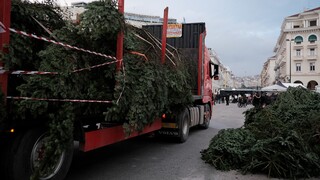 Θεσσαλονίκη: Σε εξέλιξη το πρόγραμμα ανακύκλωσης χριστουγεννιάτικων δέντρων