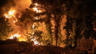 Δημοσκόπηση Act for Earth: Δασικές πυρκαγιές και καύσωνας «σημάδεψαν» το 2021