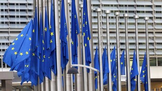 Κοινή Δήλωση 16 κρατών-μελών της ΕΕ για την ανάγκη προστασίας των συνόρων της Ένωσης