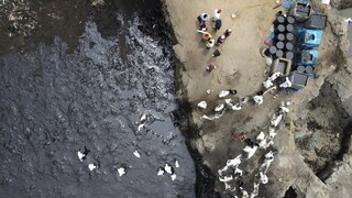 Περού: «Κατάσταση περιβαλλοντικής έκτακτης ανάγκης» για 90 ημέρες λόγω πετρελαιοκηλίδας
