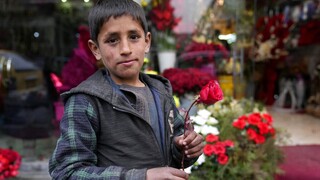 Αφγανιστάν - Έρευνα: Μία στις πέντε οικογένειες στέλνει τα παιδιά της να εργαστούν