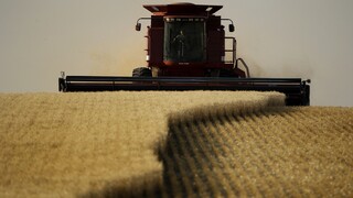 Ουκρανία: Ο παράγων «σιτάρι» - Το φάντασμα της επισιτιστικής κρίσης πάνω από τον πλανήτη