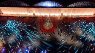 Lamda: Δώρισε τα δέντρα του Χριστουγεννιάτικου Δέντρου του The Ellinikon Experience Park