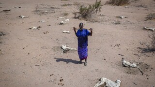 Κέρας της Αφρικής: Απειλούνται με λιμό 13 εκατ. άνθρωποι λόγω της ξηρασίας