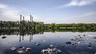 «Ευαίσθητα» νανορομπότ απομακρύνουν τη ρύπανση από το νερό