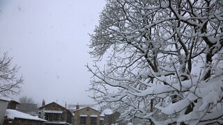 Αρναούτογλου: Μαρτιάτικος χιονιάς σε όλη τη χώρα από την Τρίτη