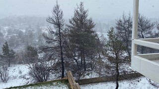 Κακοκαιρία «Φίλιππος»: Χιονίζει στα ορεινά χωριά της Λαμίας και της δυτικής Φθιώτιδας