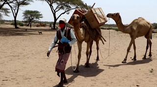 Αιθοπία: Οι «καμήλες της γνώσης» φέρνουν βιβλία και τάμπλετ στα παιδιά