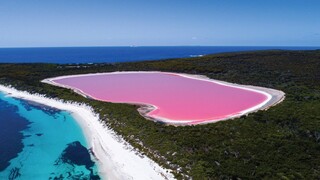 Το μυστήριο της ροζ λίμνης αποκαλύπτεται - Ένας «κρυμμένος» κόσμος