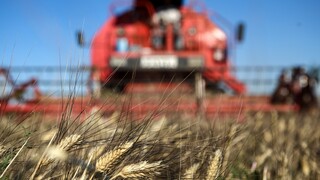 Γεωργαντάς: Από τη Δευτέρα η δήλωση των αποθεμάτων σε γεωργικά προϊόντα και πρώτες ύλες