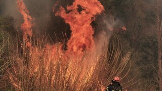 Μαίνεται η φωτιά στη Σάμο: Καίει σε τρία μέτωπα - Σπεύδουν δυνάμεις από την Αθήνα
