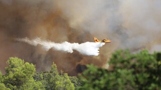 Ζάκυνθος: Δύο πυρκαγιές σε Εξωχώρα και Μαρίες - Επί ποδός η Πυροσβεστική
