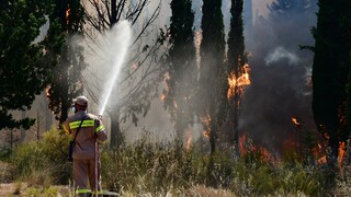 Φωτιά στην Άσκρη Βοιωτίας: Επί ποδός η Πυροσβεστική Υπηρεσία