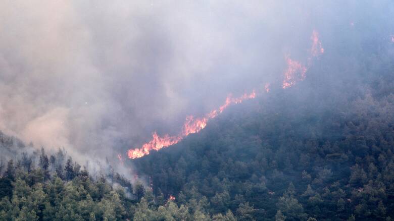 Μαίνεται η πυρκαγιά στο Λιβαδάκι Ηλείας - Εκκενώθηκε το χωριό