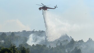Χαλκιδική: Μεγάλη φωτιά σε δύσβατη περιοχή, επιχειρούν και εναέρια μέσα