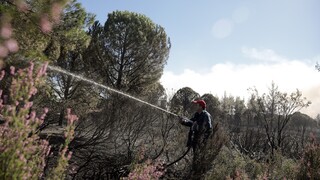 Χαλκιδική: Σε εξέλιξη μεγάλη φωτιά σε δύσβατη περιοχή - Ενισχύονται οι δυνάμεις της πυροσβεστικής