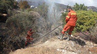 Φωτιά στη Χαλκιδική: Σε ύφεση το μέτωπο της πυρκαγιάς - «Μάχη» για τις διάσπαρτες εστίες