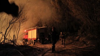 Φωτιά στη Βαρβίτσα Λακωνίας: Ενισχύθηκαν από την Αθήνα οι δυνάμεις της Πυροσβεστικής