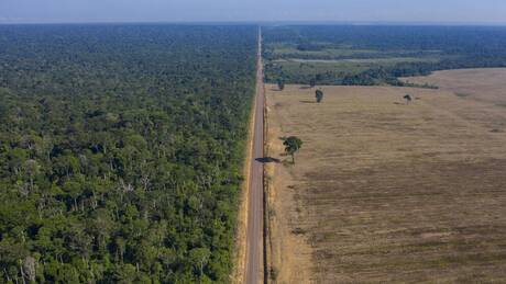 Το τροπικό δάσος του Αμαζονίου αποψιλώνεται με ρυθμούς - ρεκόρ