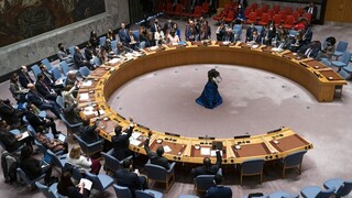 Ο ΟΗΕ ανησυχεί για την κατάσταση Ουκρανία - Κοινή ανακοίνωση του Συμβουλίου Ασφαλείας με τη Ρωσία