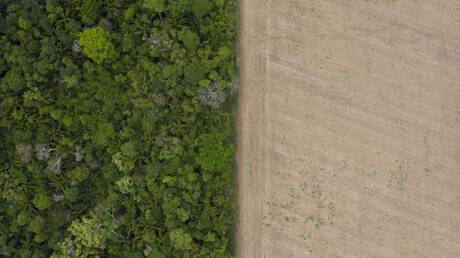 Βραζιλία: Αποψίλωση - ρεκόρ του Αμαζονίου τον Απρίλιο, για τρίτο συνεχόμενο μήνα