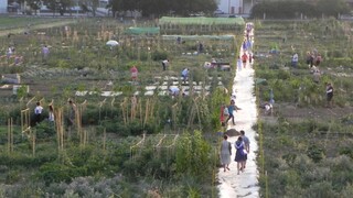 Χιλιάδες Θεσσαλονικείς δημιούργησαν δικό τους βιολογικό λαχανόκηπο στο Αγρόκτημα του ΑΠΘ