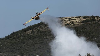 Στυλιανίδης: 590 δασοκομάντος αναλαμβάνουν δράση για τις πυρκαγιές - Το νέο δόγμα πυροπροστασίας