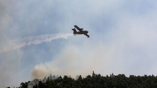 Πυρκαγιά σε δασική έκταση στο Αμόνι Κορινθίας - Πιθανή αιτία η πτώση κεραυνού