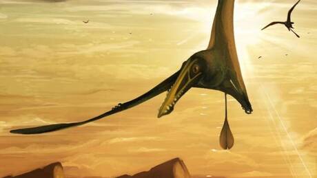 Ο «Δράκος του Θανάτου»: Στο «φως» ένας τεράστιος πτερόσαυρος που έζησε πριν από 86 εκατ. χρόνια